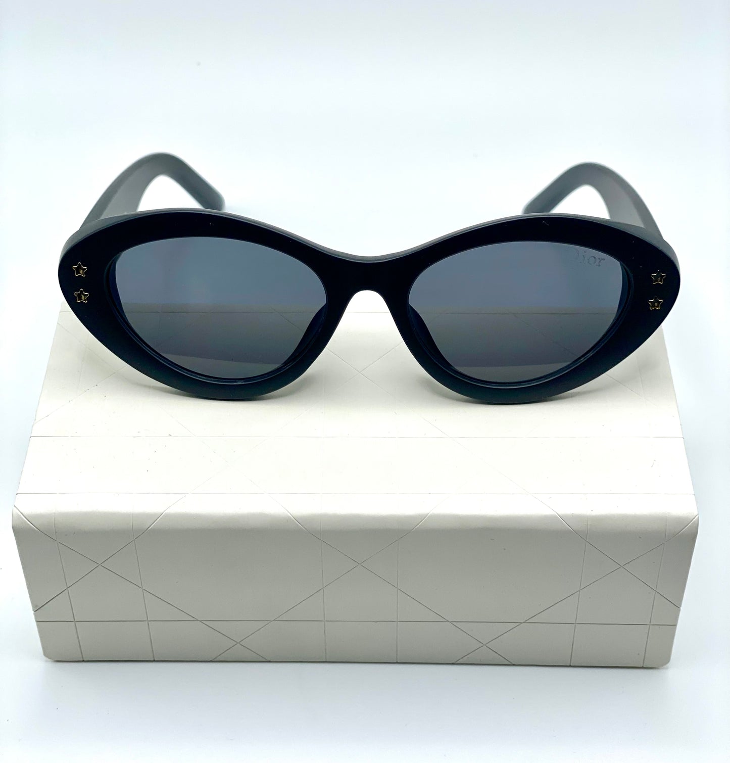 Christian Dior Women Sunglasses White And Black Mate Plastic Frame Black Lenses